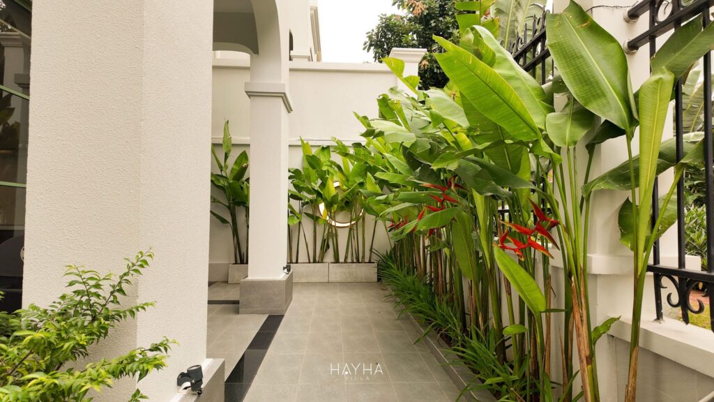 Hayha Villa PhuQuoc